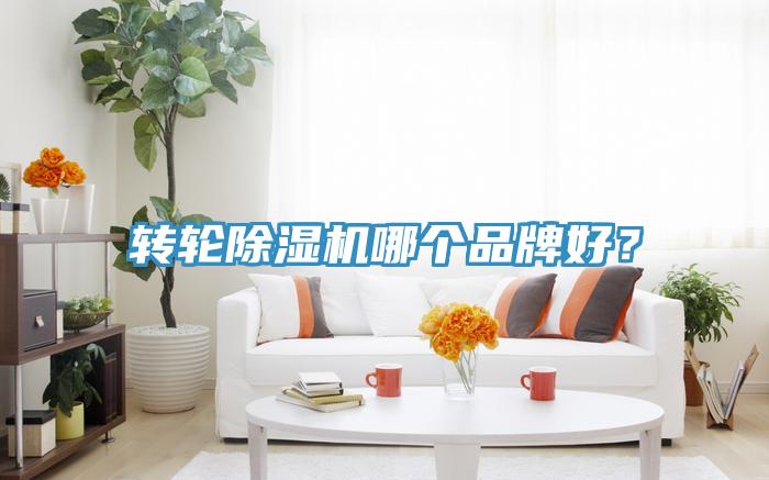 轉(zhuǎn)輪除濕機(jī)哪個品牌好？