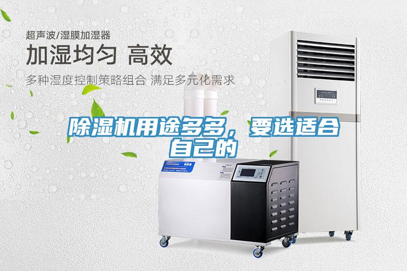 除濕機用途多多，要選適合自己的