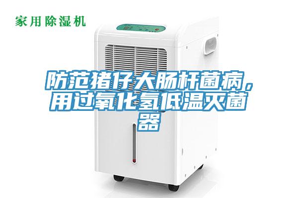 防范豬仔大腸桿菌病，用過氧化氫低溫滅菌器
