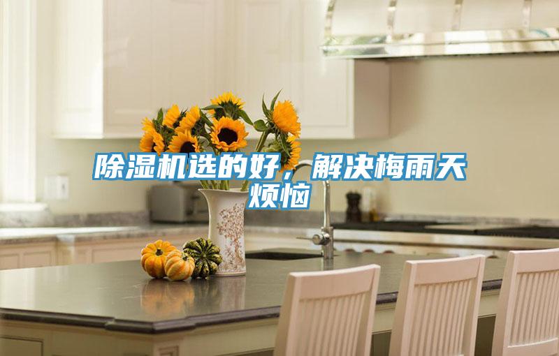 除濕機(jī)選的好，解決梅雨天煩惱