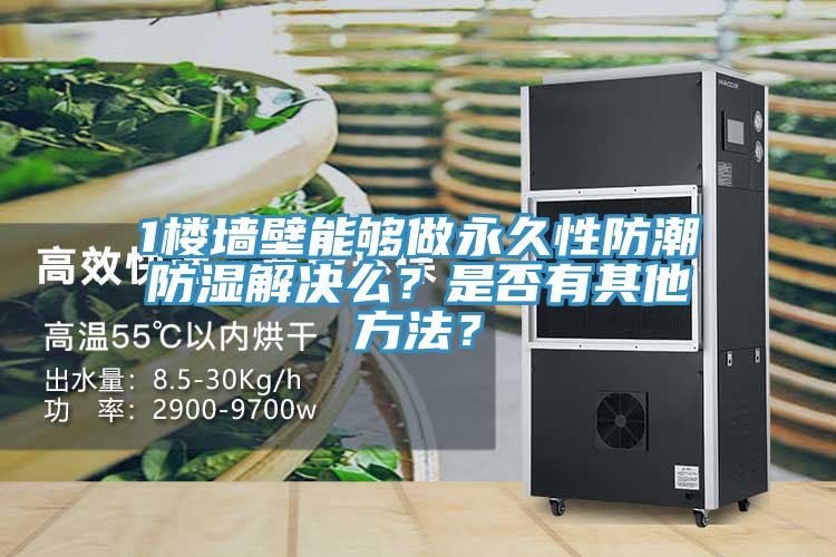 1樓墻壁能夠做永久性防潮防濕解決么？是否有其他方法？
