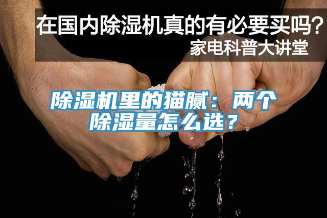 除濕機(jī)里的貓膩：兩個除濕量怎么選？