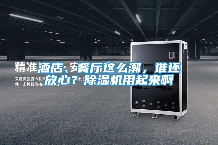 酒店、餐廳這么潮，誰(shuí)還放心？除濕機(jī)用起來(lái)啊