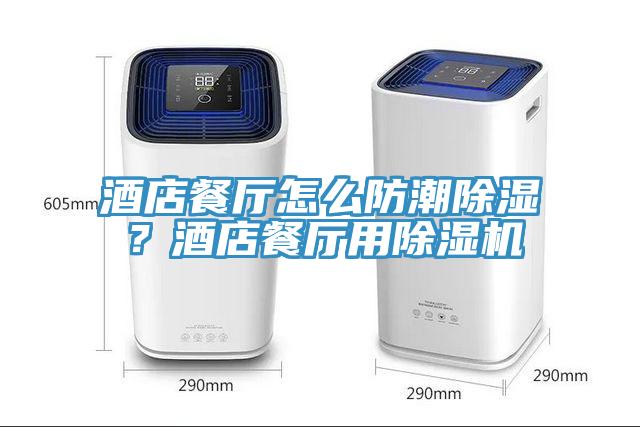 酒店餐廳怎么防潮除濕？酒店餐廳用除濕機