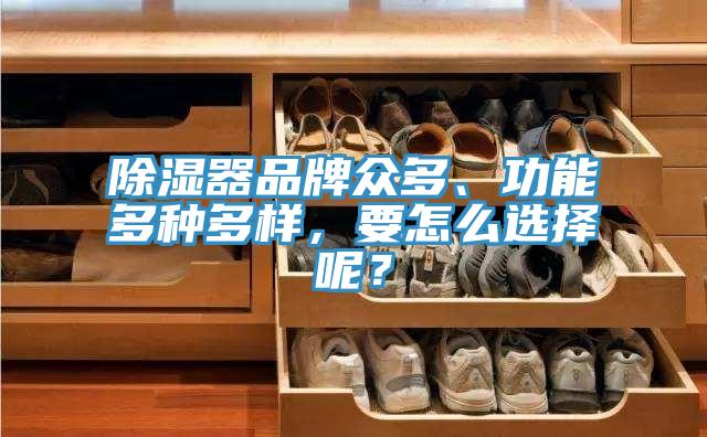 除濕器品牌眾多、功能多種多樣，要怎么選擇呢？