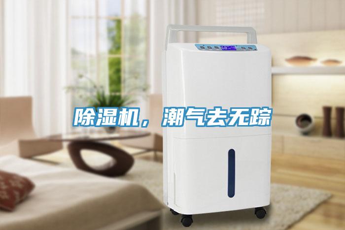 除濕機，潮氣去無蹤