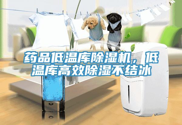 藥品低溫庫(kù)除濕機(jī)，低溫庫(kù)高效除濕不結(jié)冰