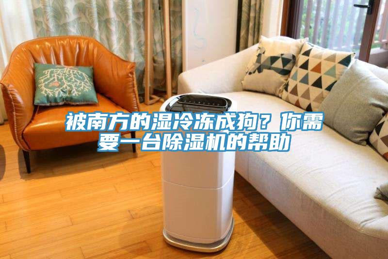 被南方的濕冷凍成狗？你需要一臺除濕機的幫助