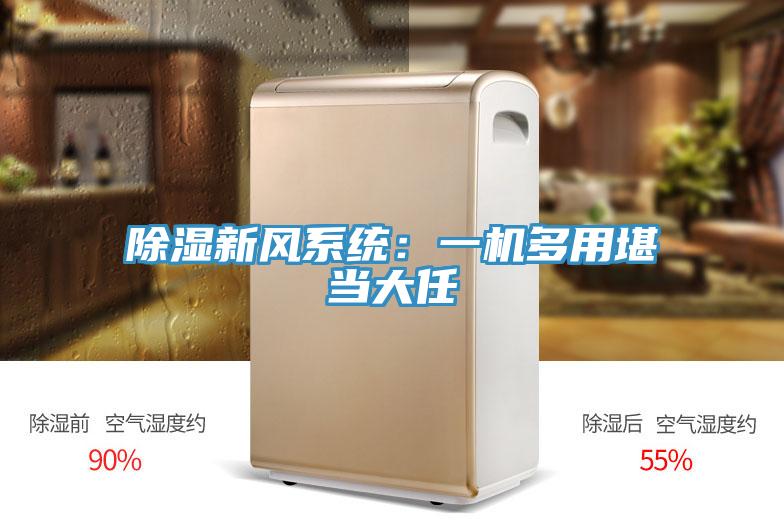 除濕新風(fēng)系統(tǒng)：一機多用堪當(dāng)大任
