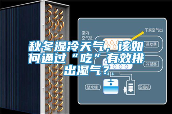 秋冬濕冷天氣，該如何通過(guò)“吃”有效排出濕氣？