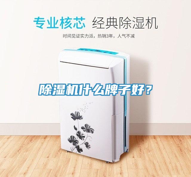 除濕機什么牌子好？