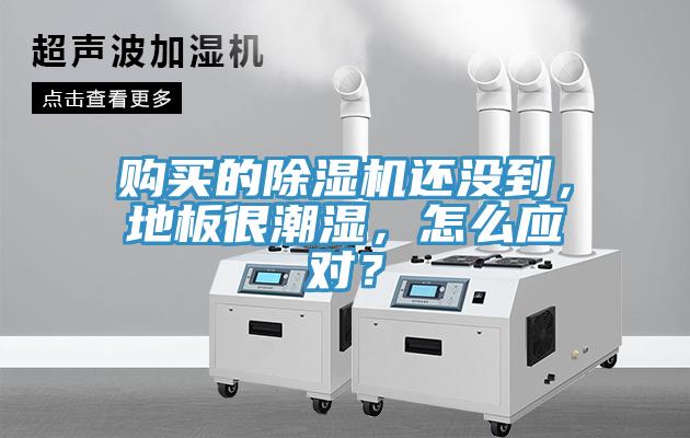 購買的除濕機(jī)還沒到，地板很潮濕，怎么應(yīng)對(duì)？