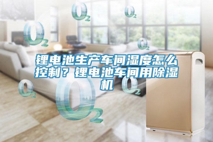 鋰電池生產(chǎn)車間濕度怎么控制？鋰電池車間用除濕機