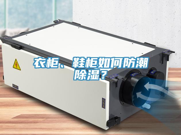衣柜、鞋柜如何防潮除濕？