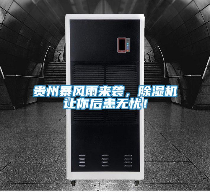 貴州暴風雨來襲，除濕機讓你后患無憂！