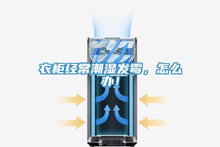 衣柜經(jīng)常潮濕發(fā)霉，怎么辦！