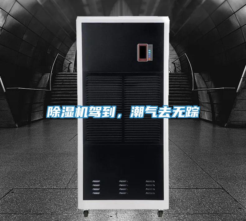 除濕機(jī)駕到，潮氣去無(wú)蹤
