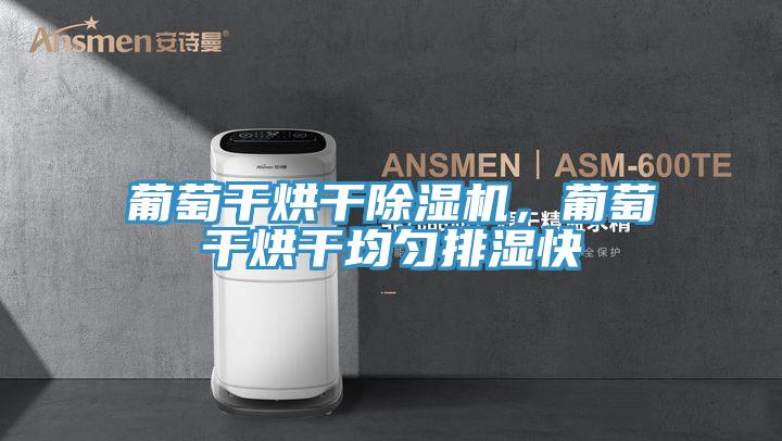 葡萄干烘干除濕機(jī)，葡萄干烘干均勻排濕快