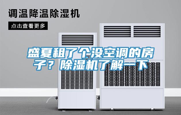盛夏租了個(gè)沒空調(diào)的房子？除濕機(jī)了解一下