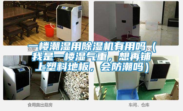 一樓潮濕用除濕機(jī)有用嗎（我是一樓濕氣重，想再鋪上塑料地板，會(huì)防潮嗎）