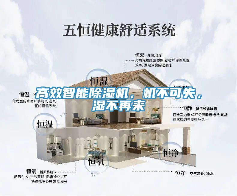 高效智能除濕機，機不可失，濕不再來