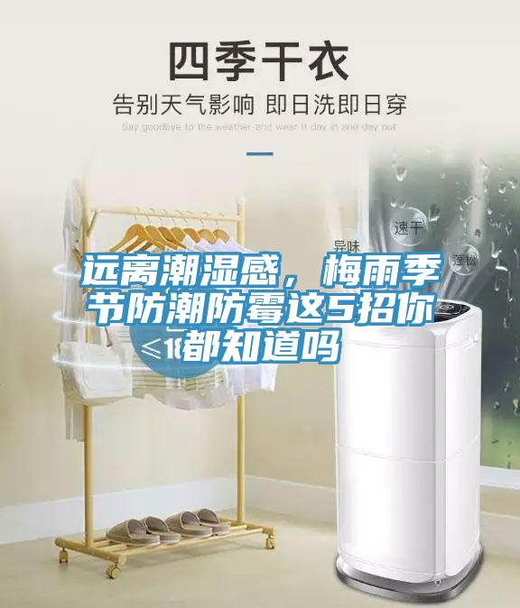 遠(yuǎn)離潮濕感，梅雨季節(jié)防潮防霉這5招你都知道嗎