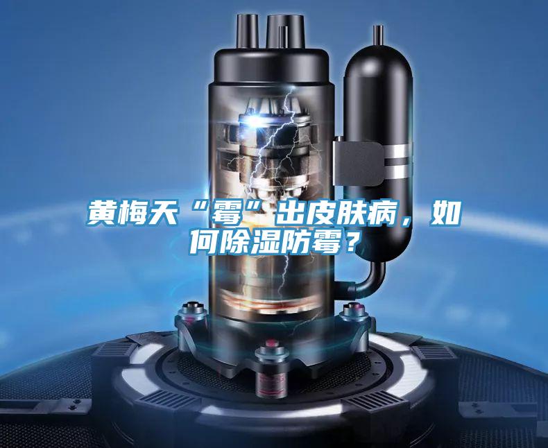 黃梅天“霉”出皮膚病，如何除濕防霉？