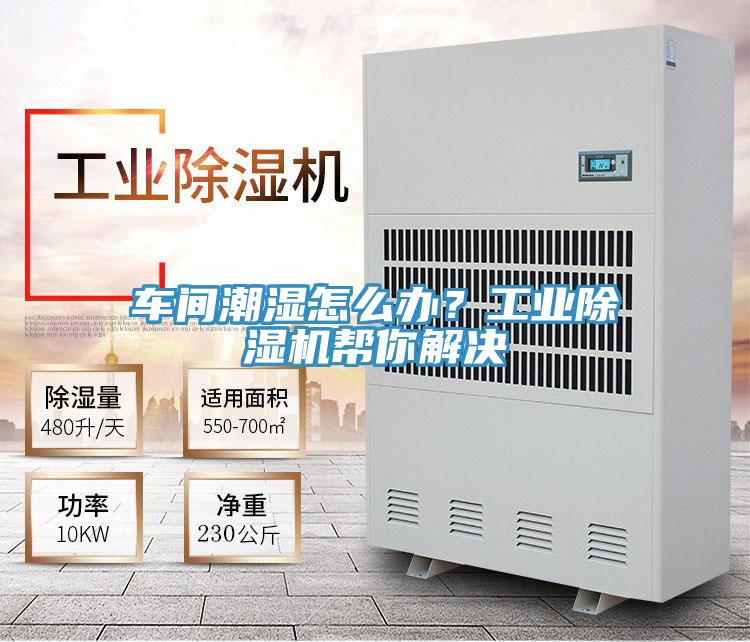 車間潮濕怎么辦？工業(yè)除濕機(jī)幫你解決