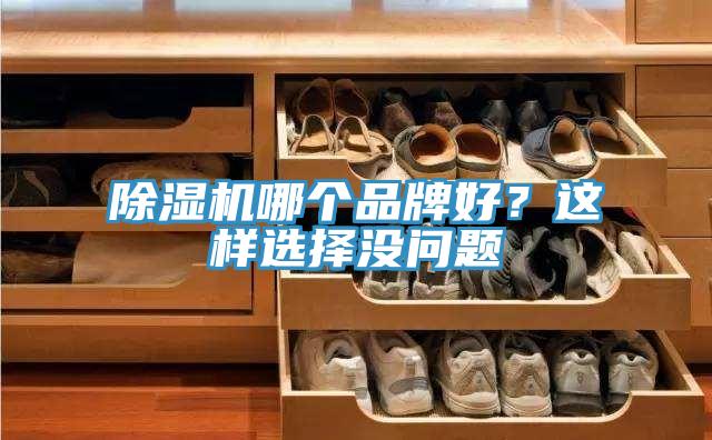 除濕機(jī)哪個(gè)品牌好？這樣選擇沒問題