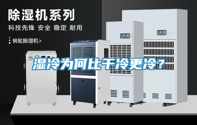 濕冷為何比干冷更冷？