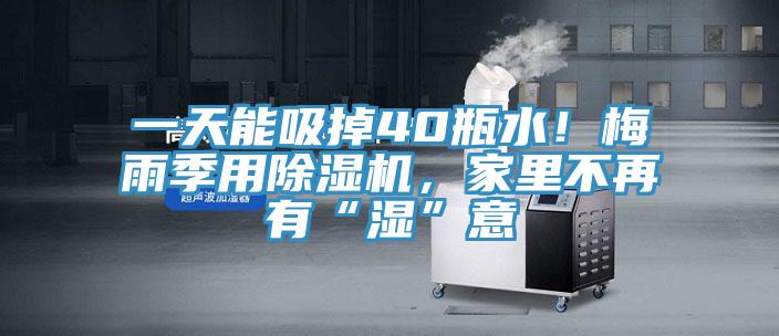 一天能吸掉40瓶水！梅雨季用除濕機(jī)，家里不再有“濕”意