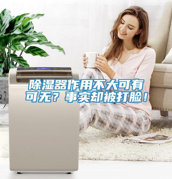除濕器作用不大可有可無(wú)？事實(shí)卻被打臉！
