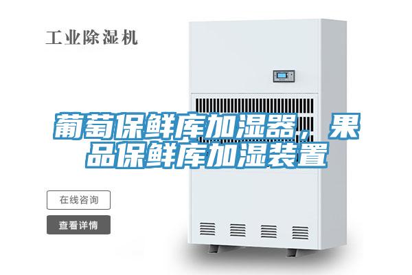 葡萄保鮮庫(kù)加濕器，果品保鮮庫(kù)加濕裝置