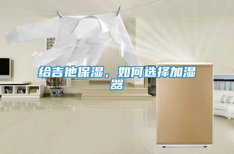 給吉他保濕，如何選擇加濕器