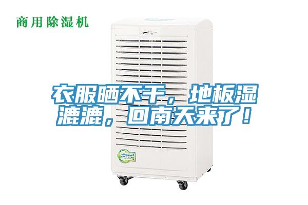 衣服曬不干，地板濕漉漉，回南天來了！