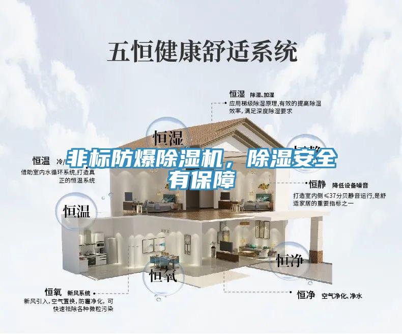 非標防爆除濕機，除濕安全有保障