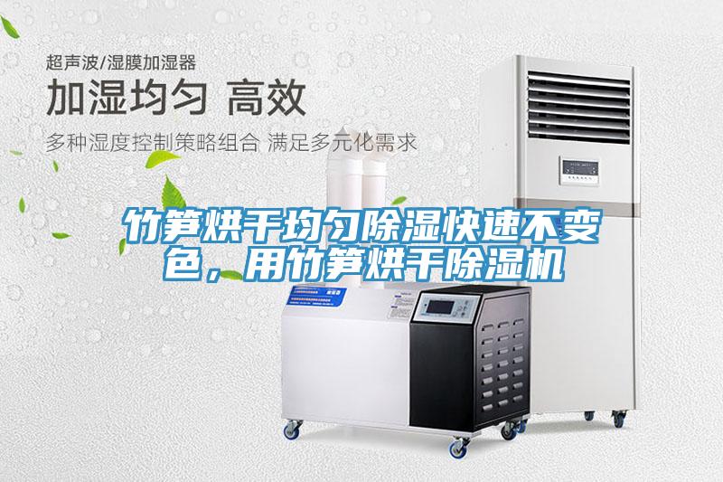 竹筍烘干均勻除濕快速不變色，用竹筍烘干除濕機(jī)