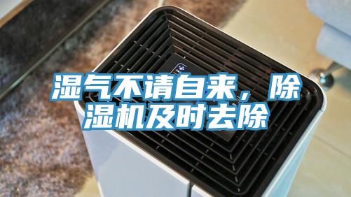 濕氣不請(qǐng)自來，除濕機(jī)及時(shí)去除