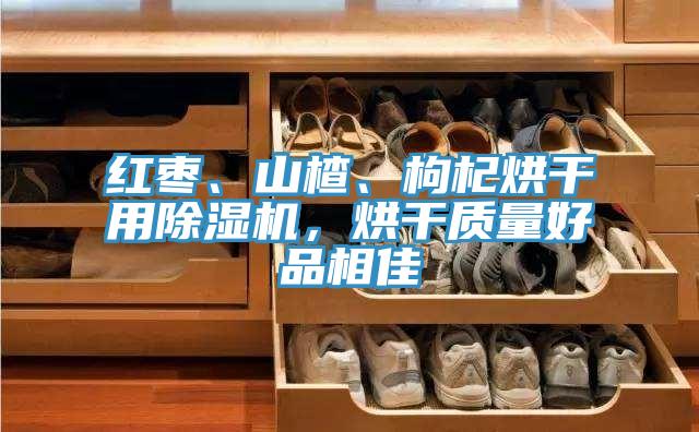 紅棗、山楂、枸杞烘干用除濕機(jī)，烘干質(zhì)量好品相佳