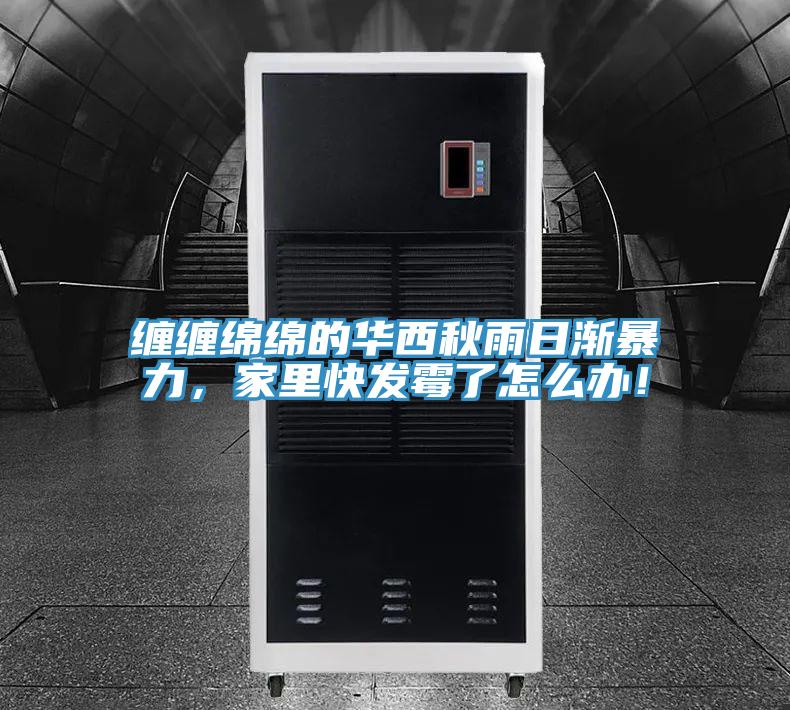 纏纏綿綿的華西秋雨日漸暴力，家里快發(fā)霉了怎么辦！