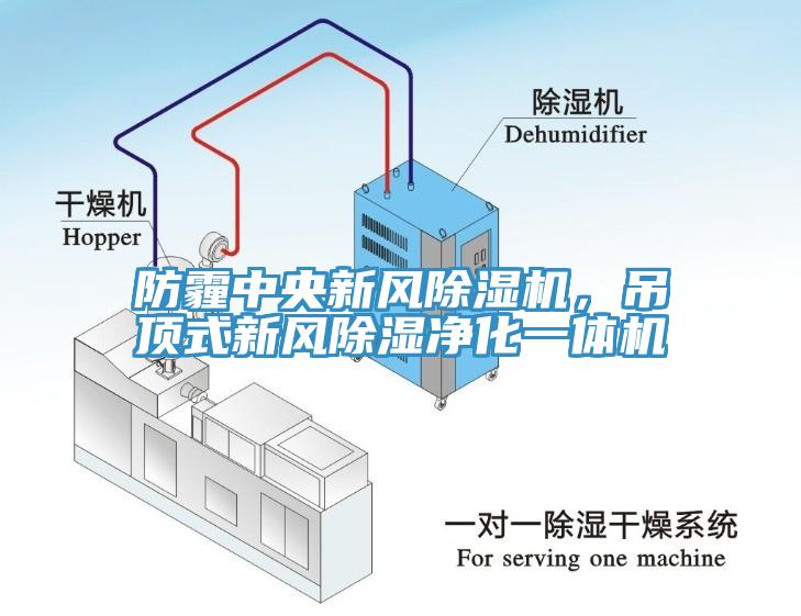防霾中央新風除濕機，吊頂式新風除濕凈化一體機