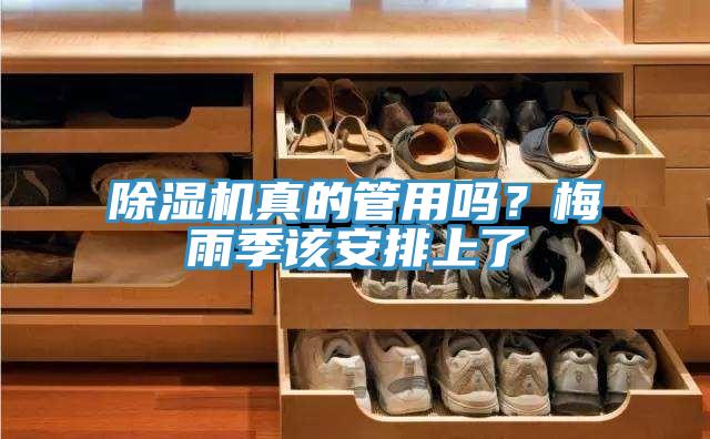 除濕機真的管用嗎？梅雨季該安排上了