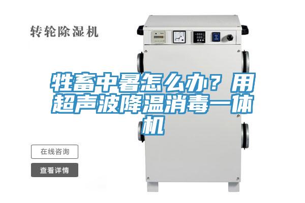 牲畜中暑怎么辦？用超聲波降溫消毒一體機