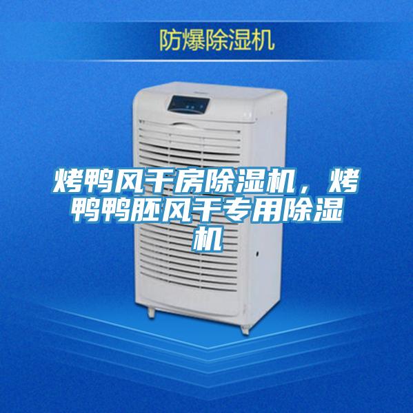 烤鴨風(fēng)干房除濕機(jī)，烤鴨鴨胚風(fēng)干專用除濕機(jī)