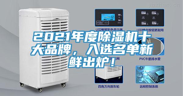 2021年度除濕機十大品牌，入選名單新鮮出爐！
