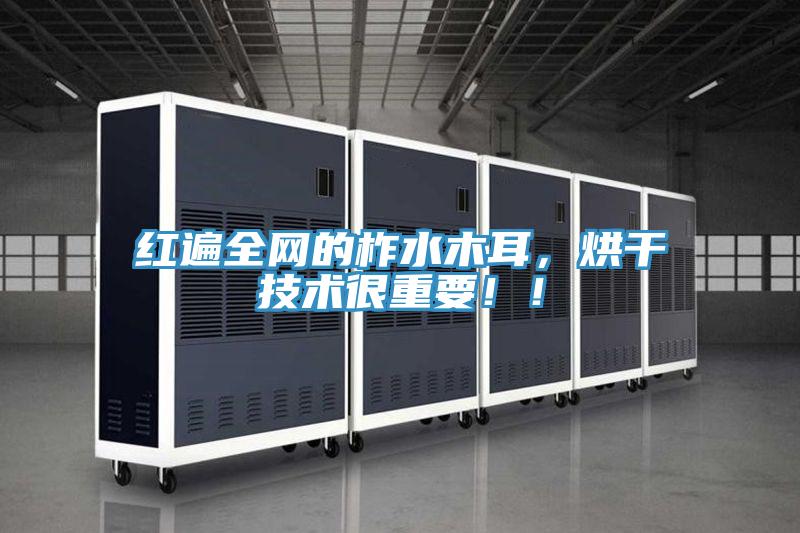 紅遍全網(wǎng)的柞水木耳，烘干技術(shù)很重要?。?></div>
								<div   id=