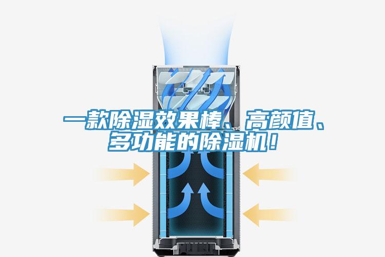 一款除濕效果棒、高顏值、多功能的除濕機(jī)！