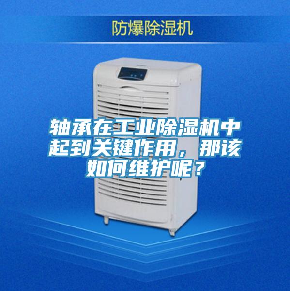 軸承在工業(yè)除濕機(jī)中起到關(guān)鍵作用，那該如何維護(hù)呢？