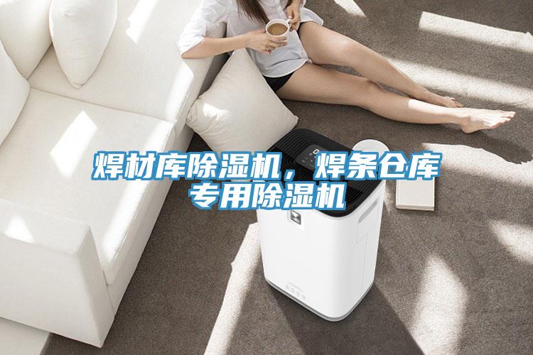 焊材庫(kù)除濕機(jī)，焊條倉(cāng)庫(kù)專用除濕機(jī)