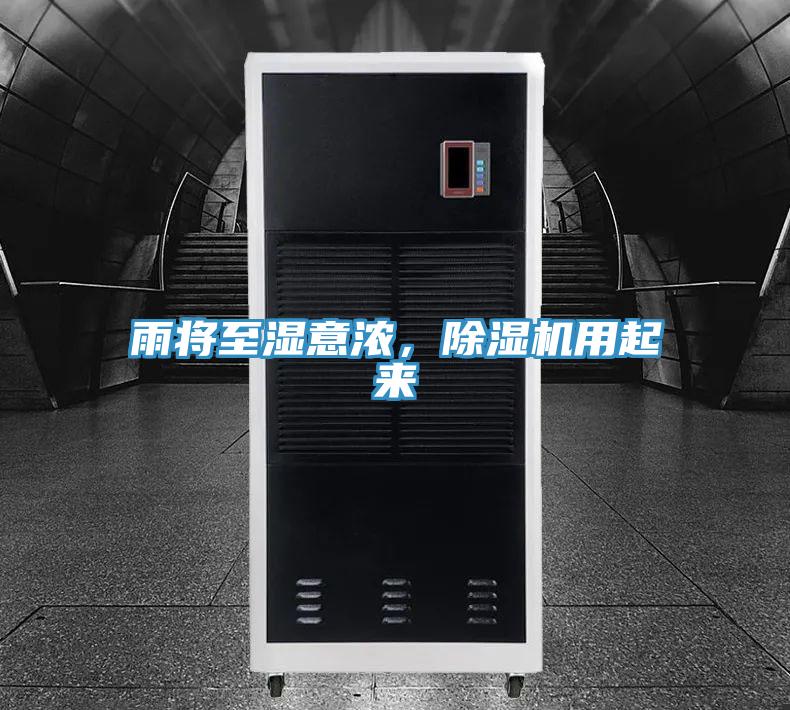雨將至濕意濃，除濕機用起來